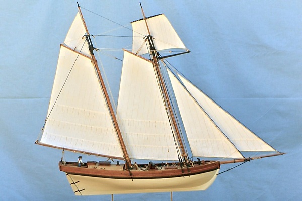 Image of Privateer Lively