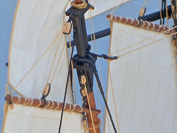 Image of Privateer Lively