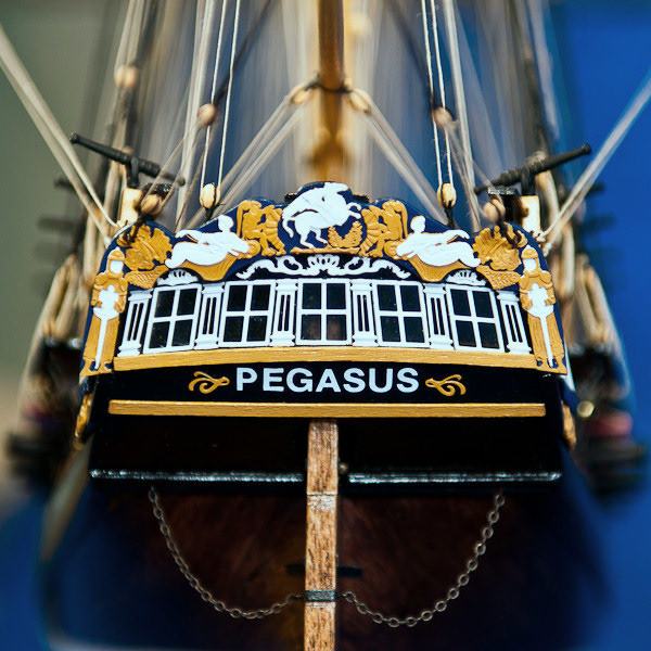 Image of Pegasus