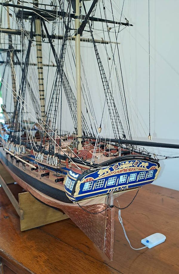Image of Diana