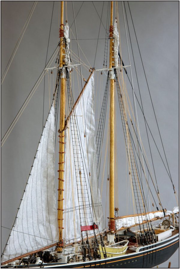 Image of Yuanqing Bluenose