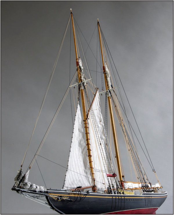 Image of Yuanqing Bluenose